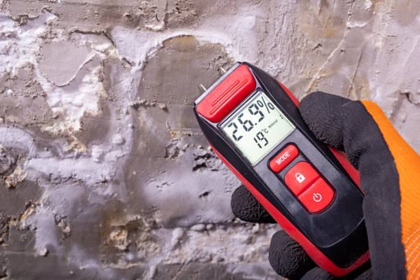 Best Professional Mold Removal  in Veedersburg, IN